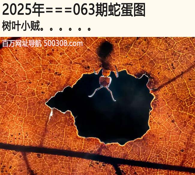 063期蛇蛋图：树叶小贼.....