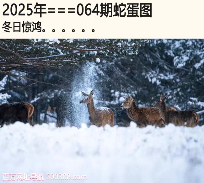 064期蛇蛋图：冬日惊鸿.....