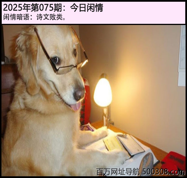 075期今日闲情：诗文败类。