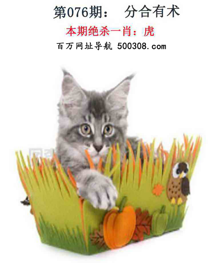 076ڣǮ湦