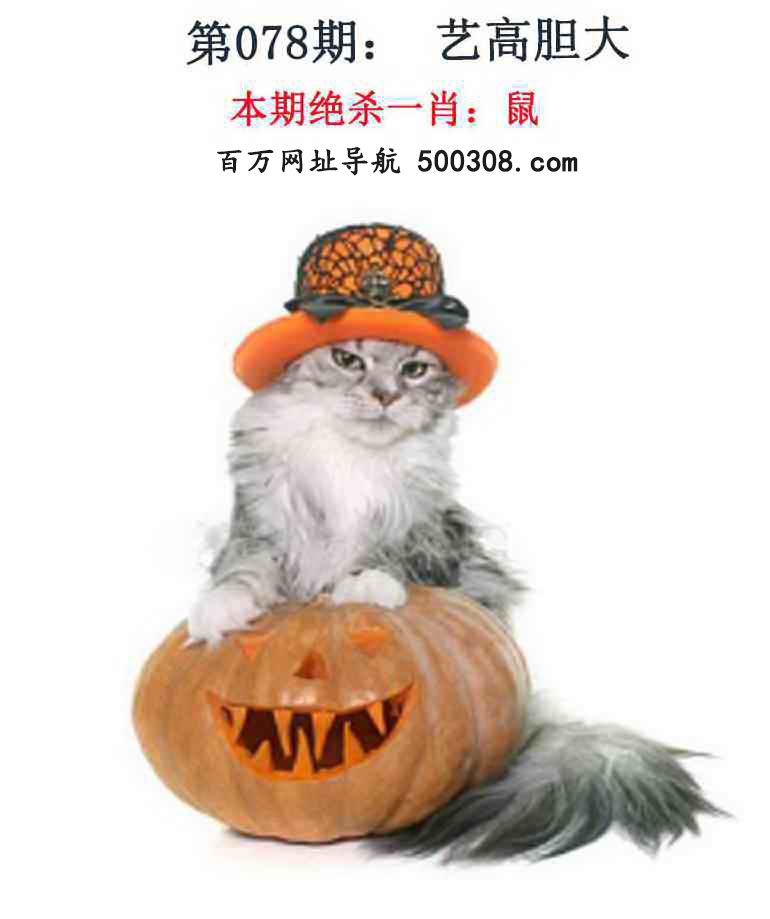 078ڣǮ湦