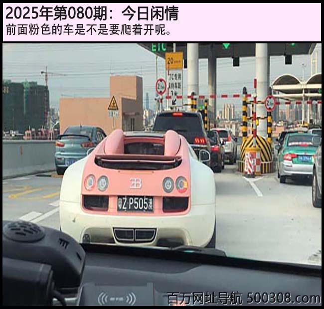 080ڽ飺ǰɫĳǲҪſء
