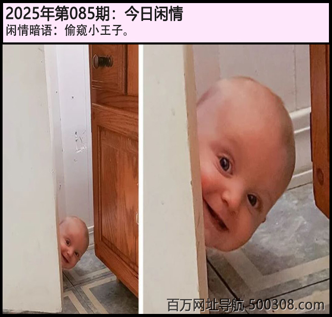 085ڽ飺͵Сӡ