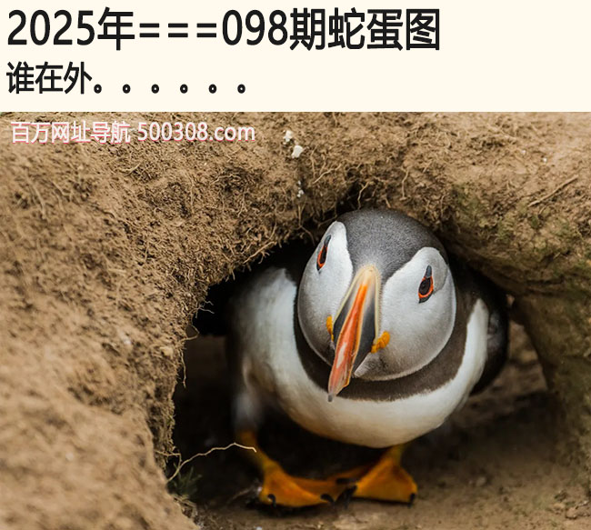 098期蛇蛋图：谁在外.....