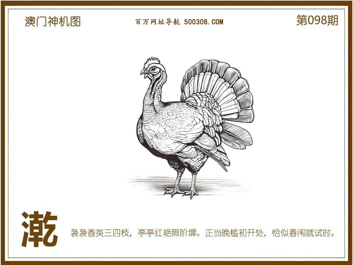 098期：悟入其图/相入非非/捉生肖/七星图/好图乐翻天/藏宝图/发财玄机图/澳门神机图