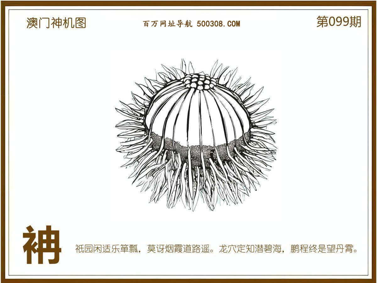 099期：悟入其图/相入非非/捉生肖/七星图/好图乐翻天/藏宝图/发财玄机图/澳门神机图
