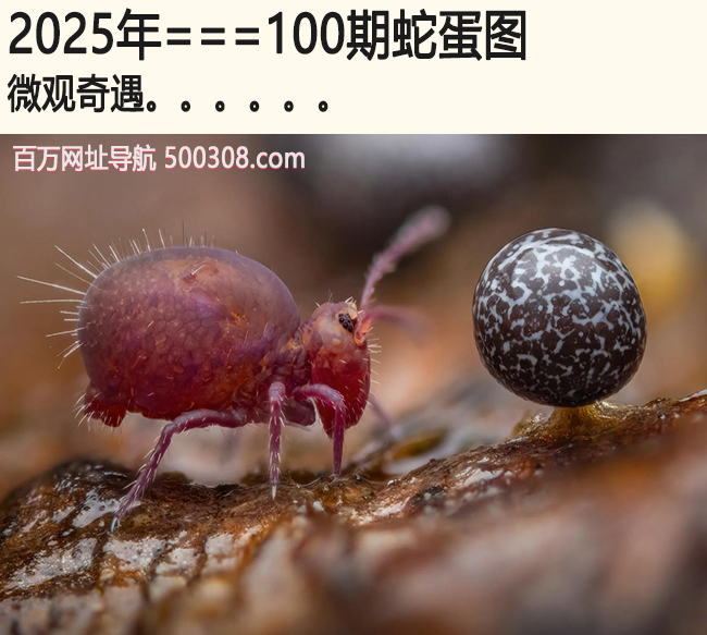100期蛇蛋图：微观奇遇.....