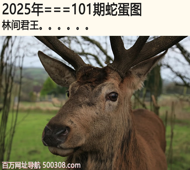 101期蛇蛋图：林间君王.....
