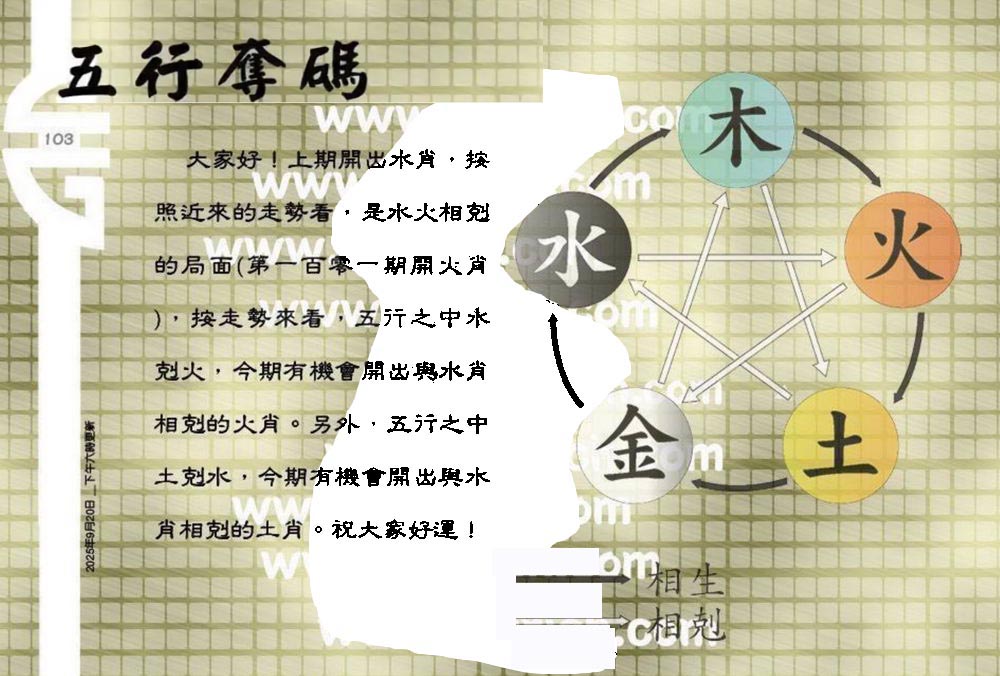 103期：老总论码/萧公子/林大师/五行夺码