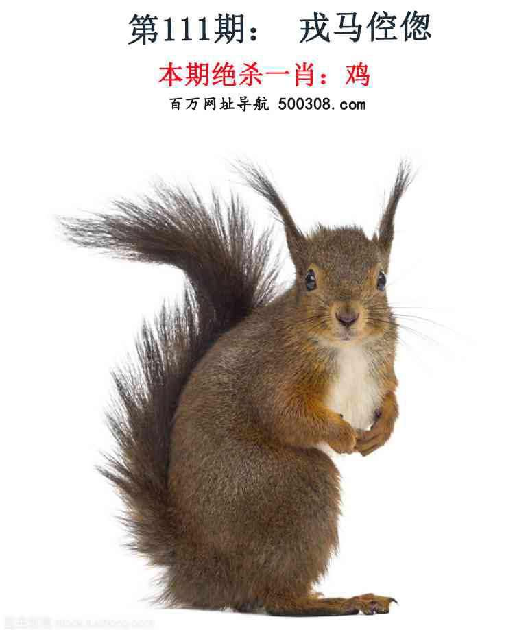 111ڣǮ湦
