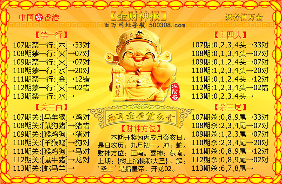 113ڣ