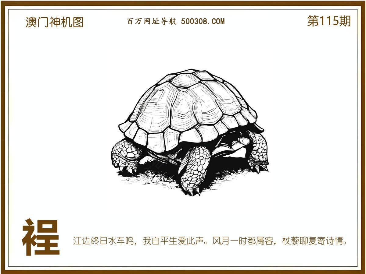 115期：悟入其图/相入非非/捉生肖/好图乐翻天/藏宝图/发财玄机图/澳门神机图