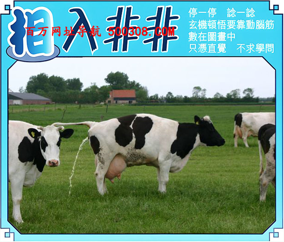 121ڣͼ/Ƿ/׽Ф/ͼַ/رͼ/ͼ/ͼ