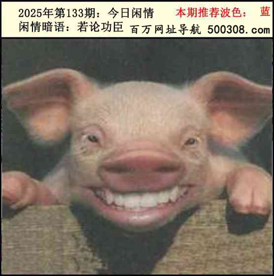 133�ڣ���������2