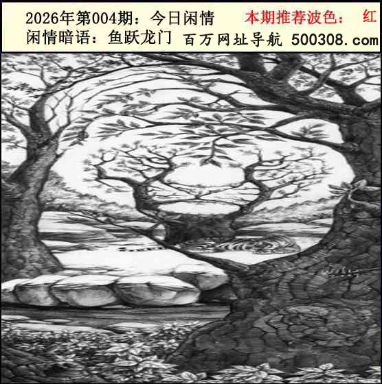 004�ڣ���������2