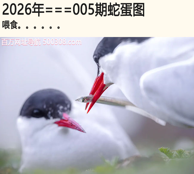 005���ߵ�ͼ��_ιʳ.....