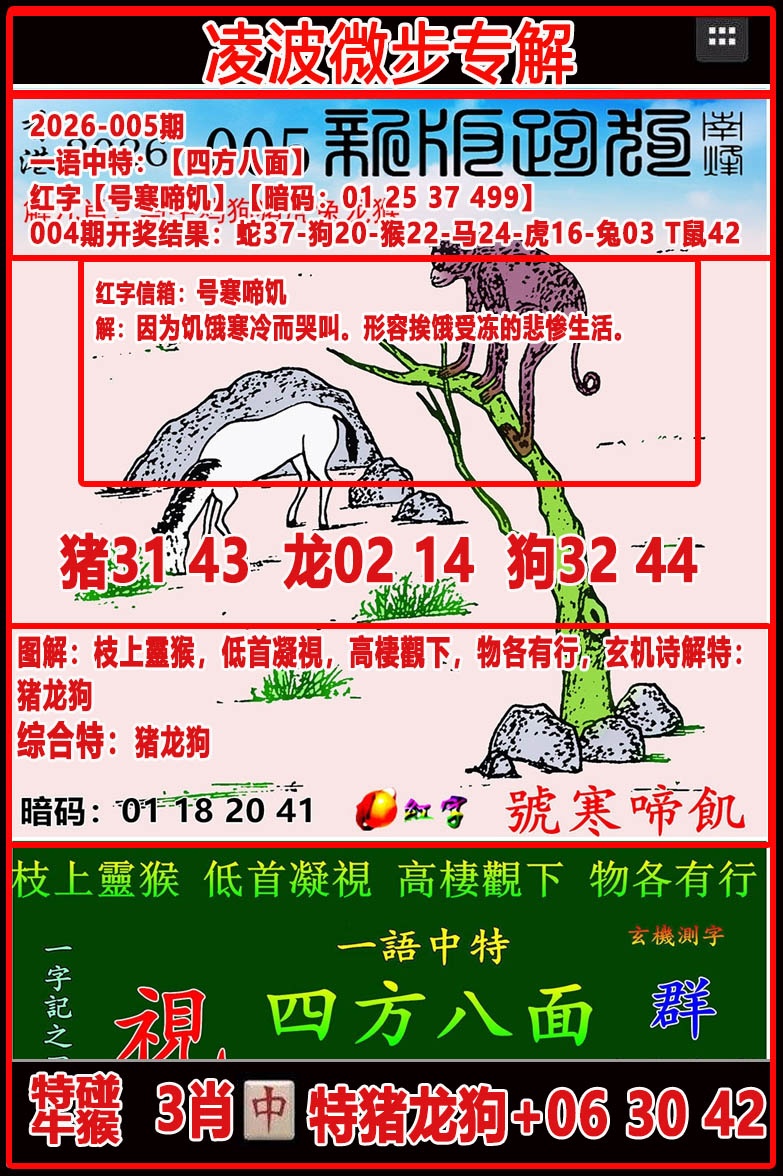 005�ڣ��貨΢��ר���ܹ�