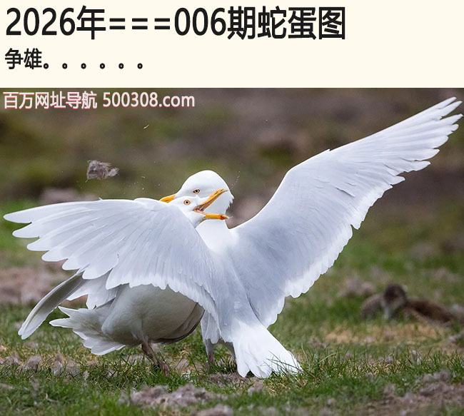 006���ߵ�ͼ��_����.....