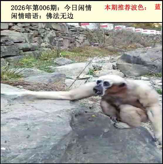 006�ڣ���������2