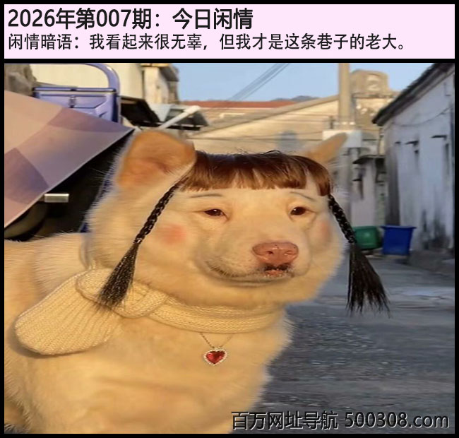 007�ڽ������飺�ҿ��������޹������Ҳ����������ӵ��ϴ�