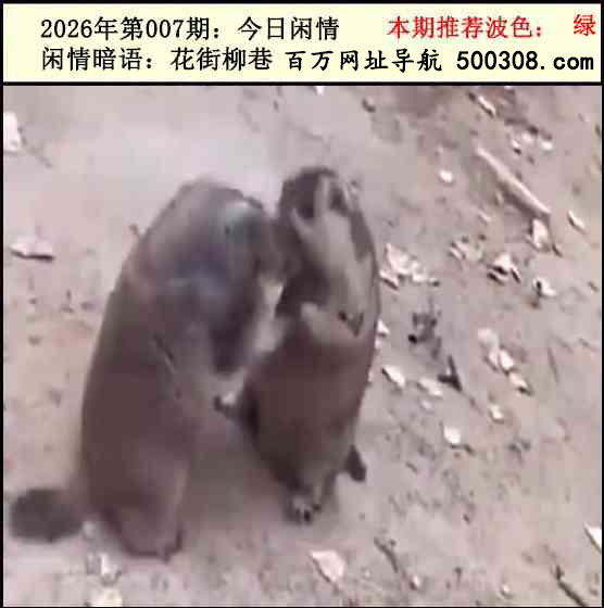 007�ڣ���������2