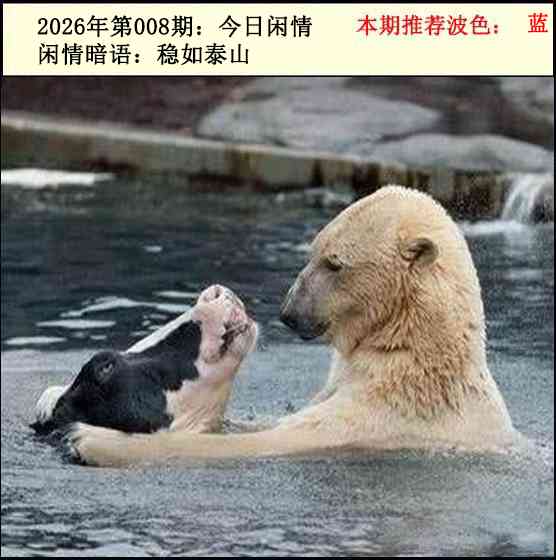 008�ڣ���������2