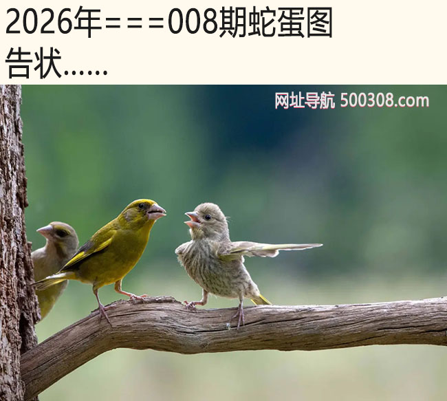 008���ߵ�ͼ����״.....