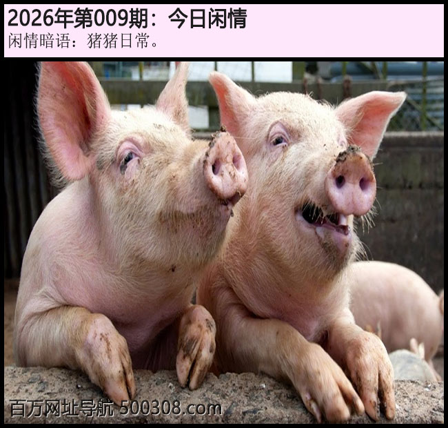 009�ڽ������飺�����ճ���