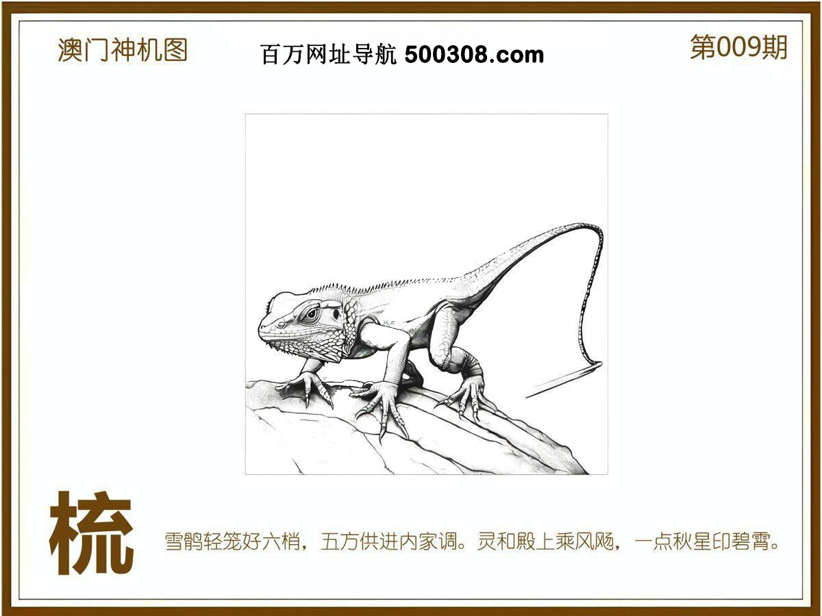 009�ڣ�������ͼ/����Ƿ�/׽��Ф/��ͼ�ַ���/�ر�ͼ/��������ͼ/�������ͼ