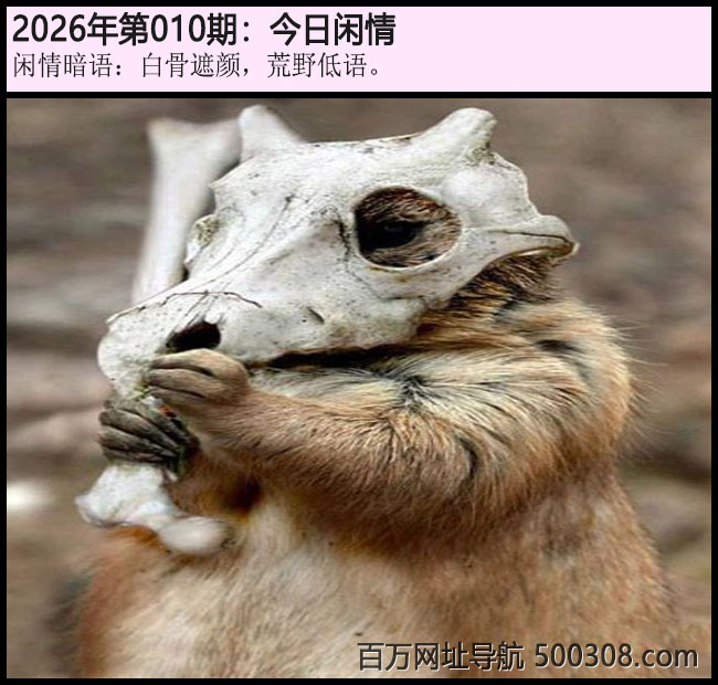 010�ڽ������飺�׹����գ���Ұ���