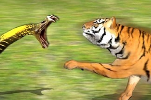 2026���010����Ĭ�²⣺���а���