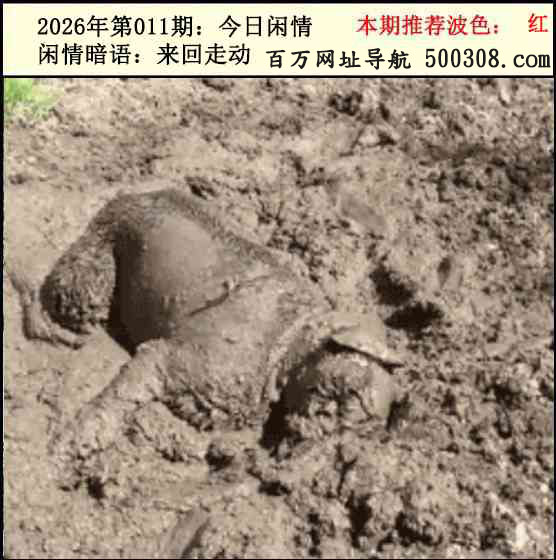 011�ڣ���������2