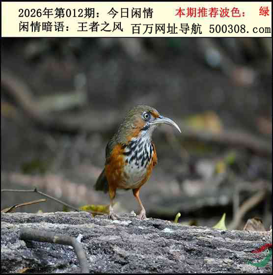 012�ڣ���������2