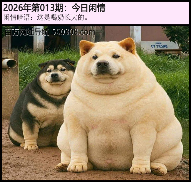 013�ڽ������飺���Ǻ��̳���ġ�