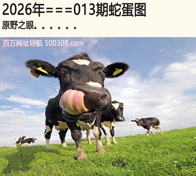 013���ߵ�ͼ��ԭҰ֮��.....