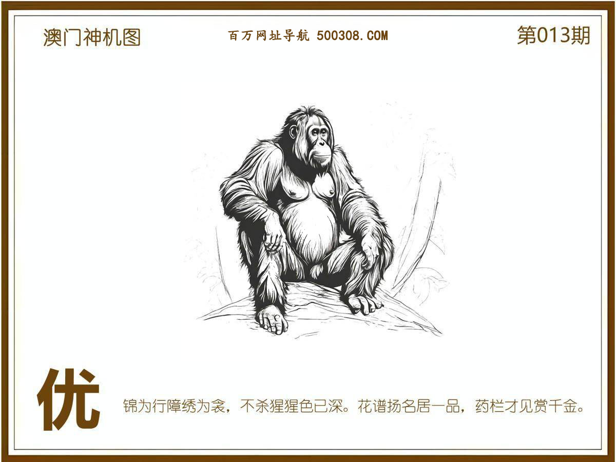 013�ڣ�������ͼ/����Ƿ�/׽��Ф/��ͼ�ַ���/�ر�ͼ/��������ͼ/�������ͼ