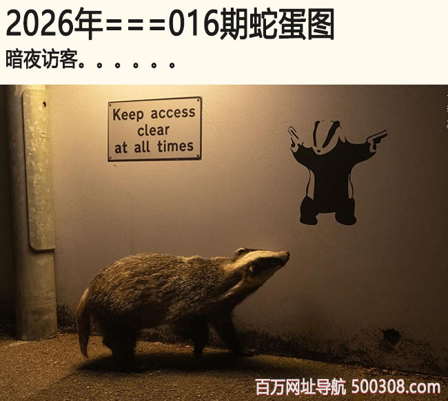 016���ߵ�ͼ����ҹ�ÿ�.....