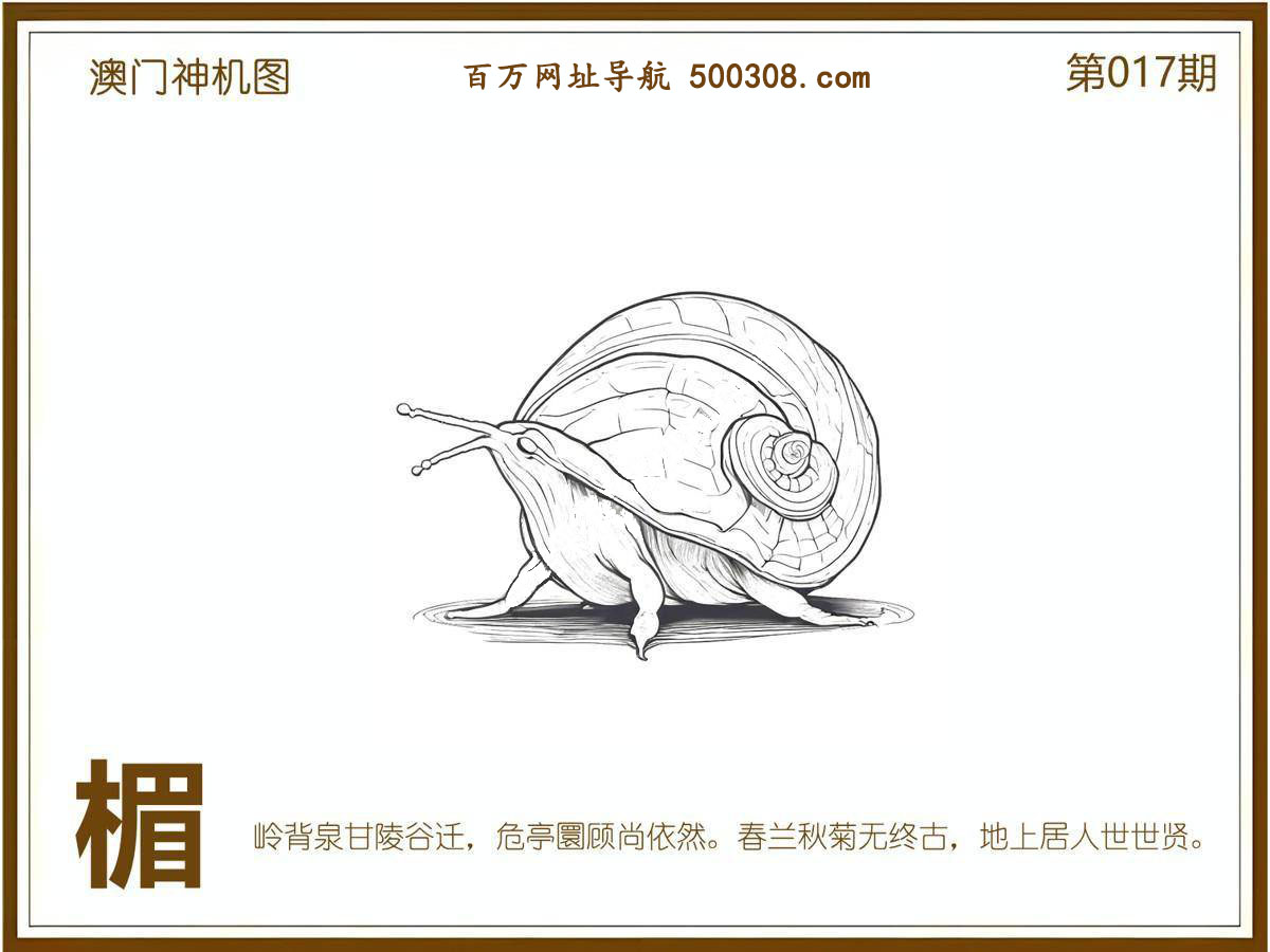 017期：悟入其图/相入非非/捉生肖/好图乐翻天/藏宝图/发财玄机图/澳门神机图