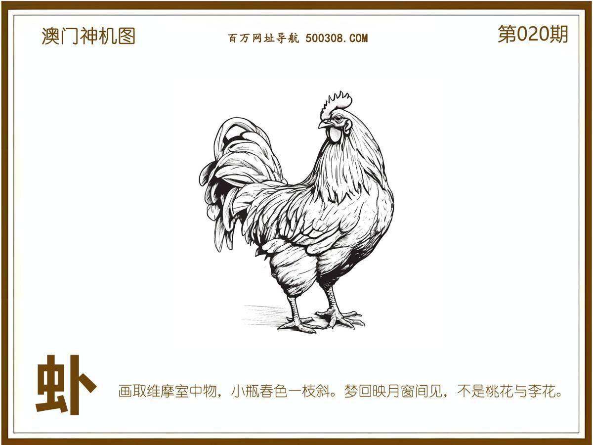 020期：悟入其图/相入非非/捉生肖/好图乐翻天/藏宝图/发财玄机图/澳门神机图