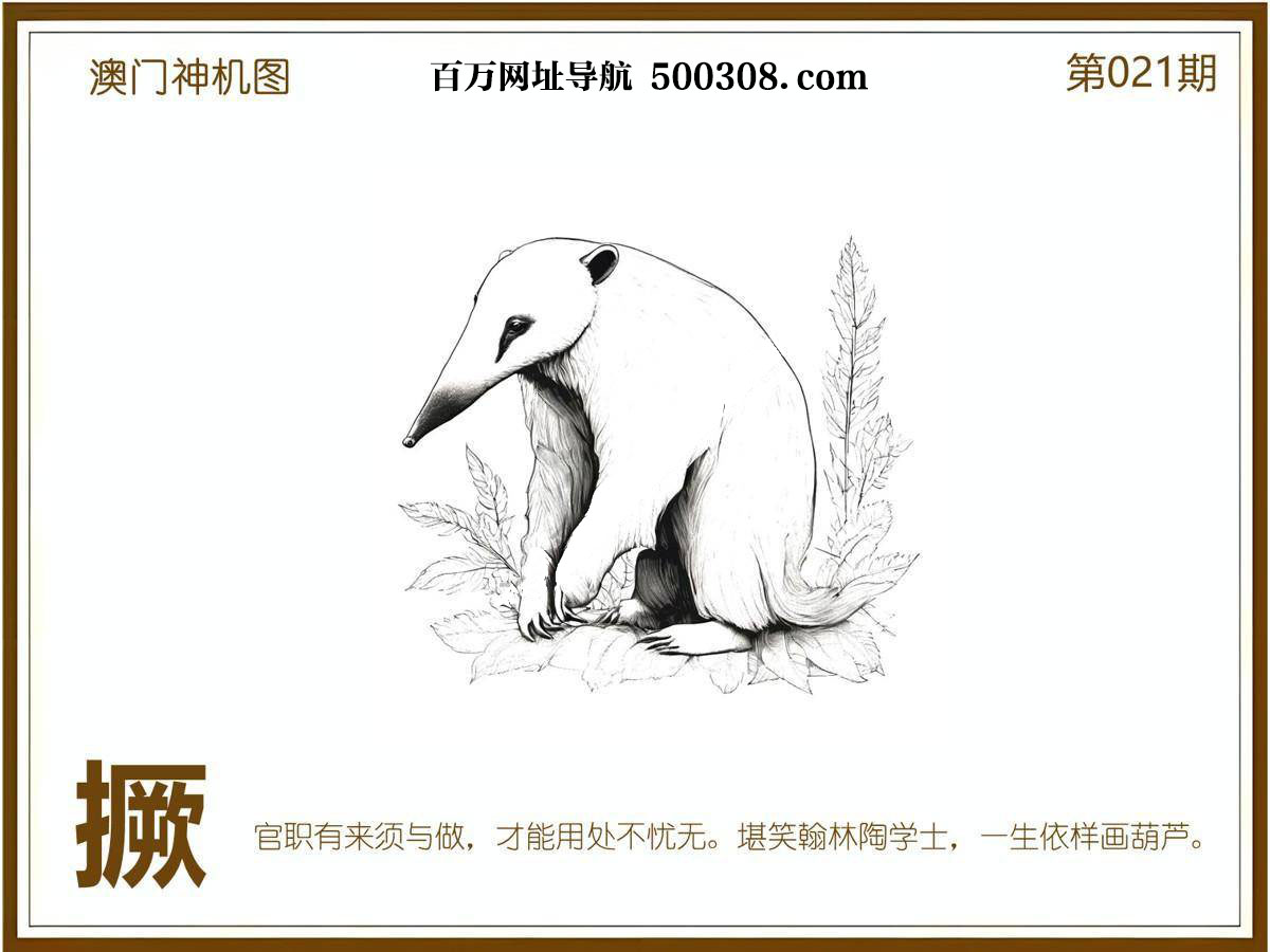 021期：悟入其图/相入非非/捉生肖/好图乐翻天/藏宝图/发财玄机图/澳门神机图