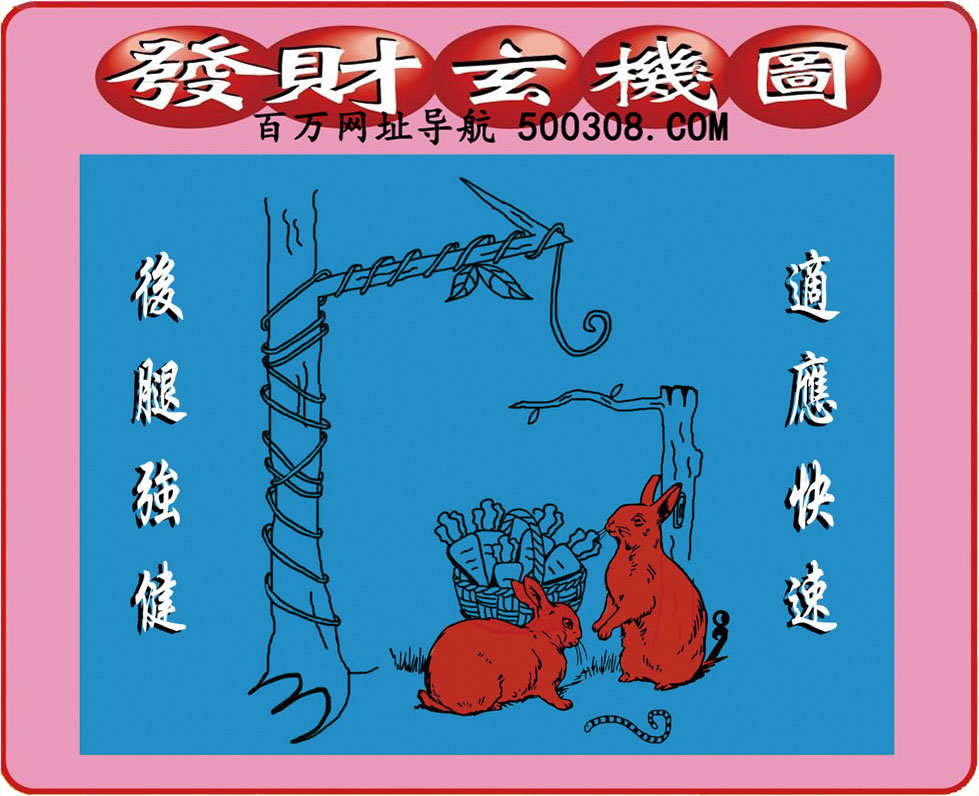 023期：悟入其图/相入非非/捉生肖/好图乐翻天/藏宝图/发财玄机图/澳门神机图