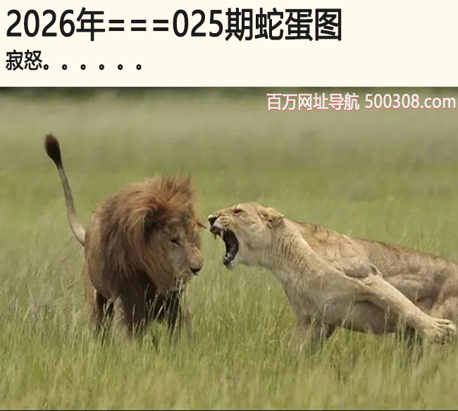 025���ߵ�ͼ����ŭ.....