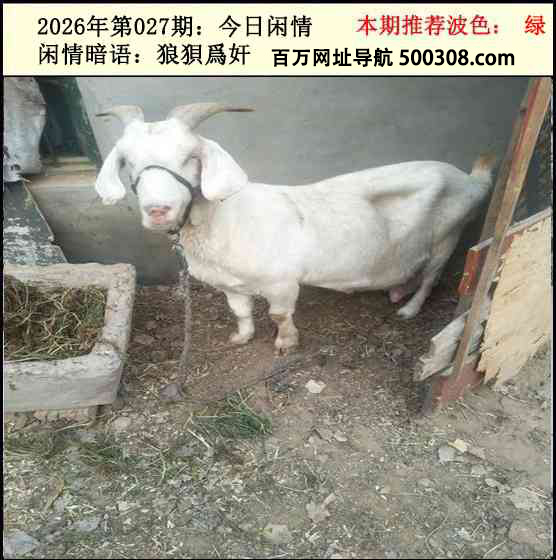 027�ڣ���������2