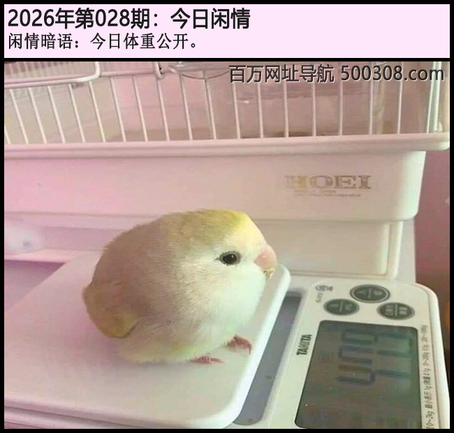 028�ڽ������飺�������ع�����