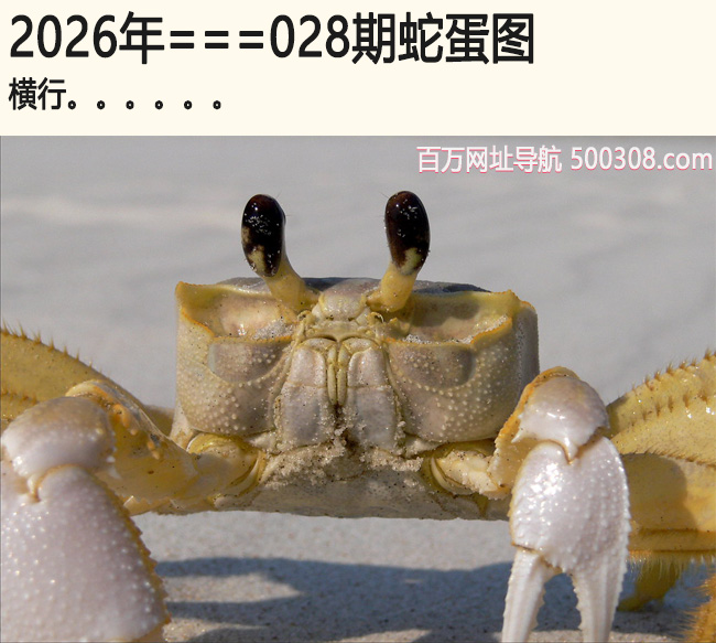 028���ߵ�ͼ������....