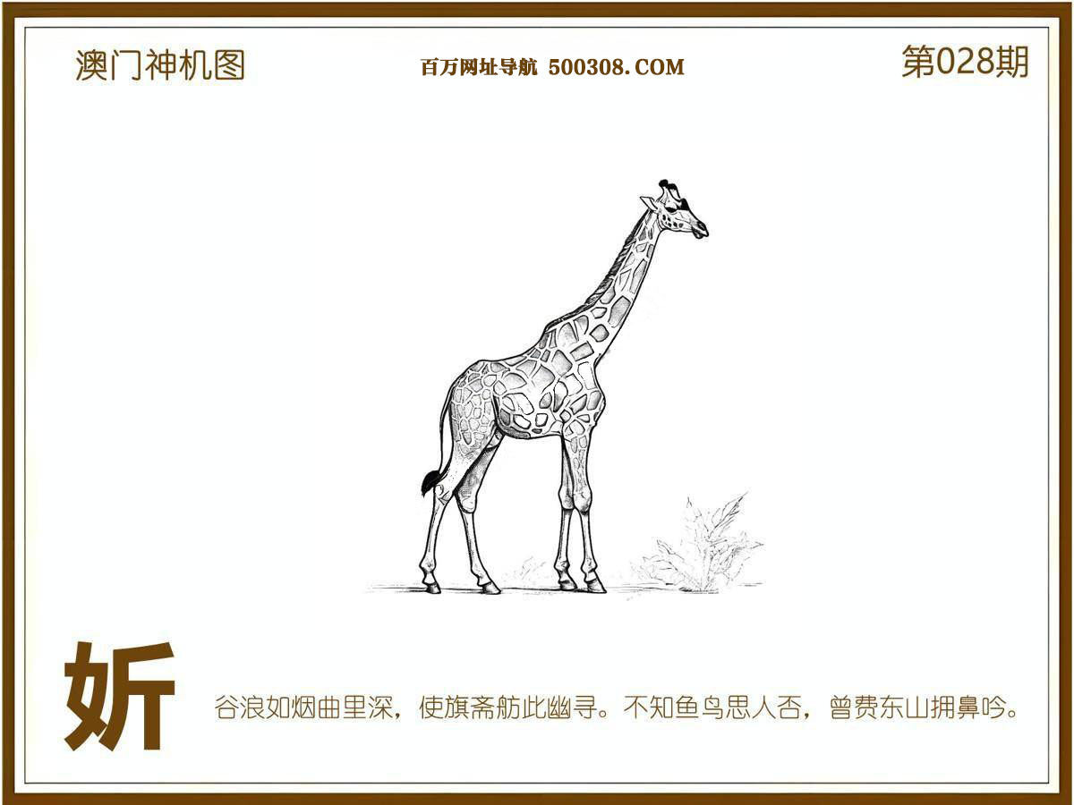 028期：悟入其图/相入非非/捉生肖/好图乐翻天/藏宝图/发财玄机图/澳门神机图