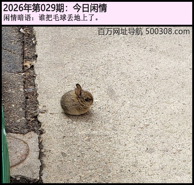 029�ڽ������飺˭��ë�򶪵����ˡ�