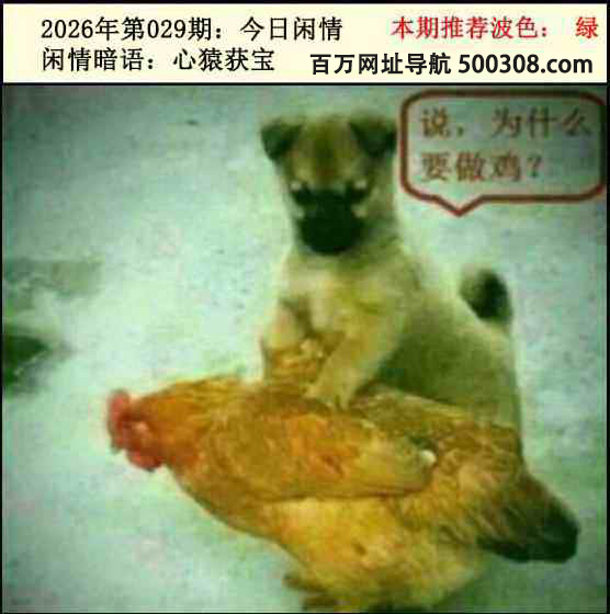 029�ڣ���������2