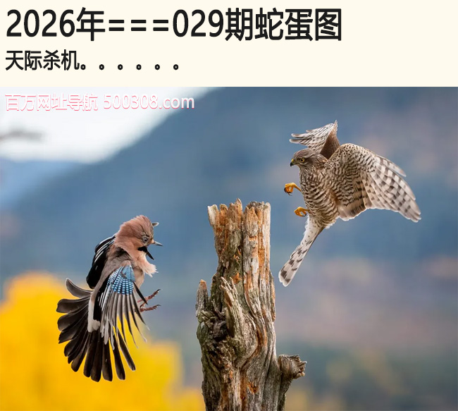 029���ߵ�ͼ�����ɱ��.....