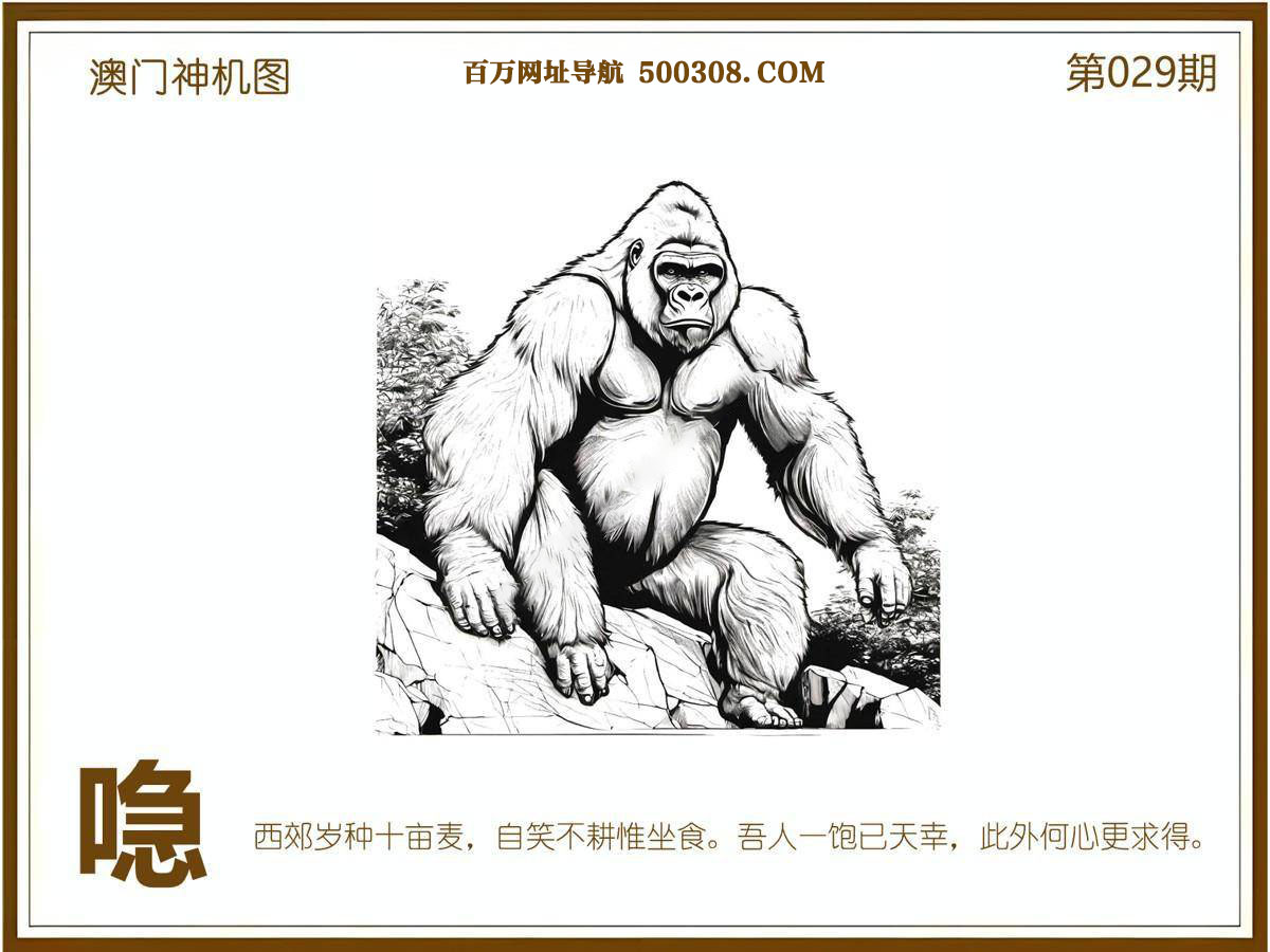 029期：悟入其图/相入非非/捉生肖/好图乐翻天/藏宝图/发财玄机图/澳门神机图